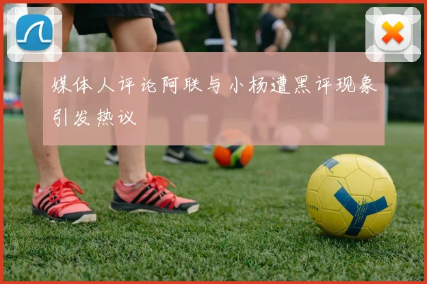 媒体人评论阿联与小杨遭黑评现象引发热议
