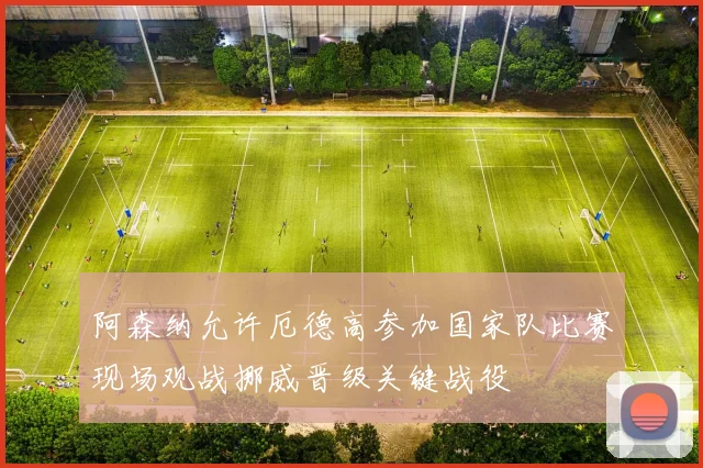 阿森纳允许厄德高参加国家队比赛现场观战挪威晋级关键战役