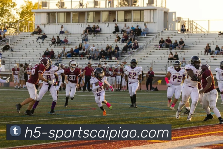 App Interface Preview