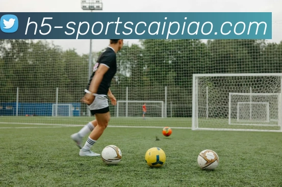 大发彩票APP 封面图